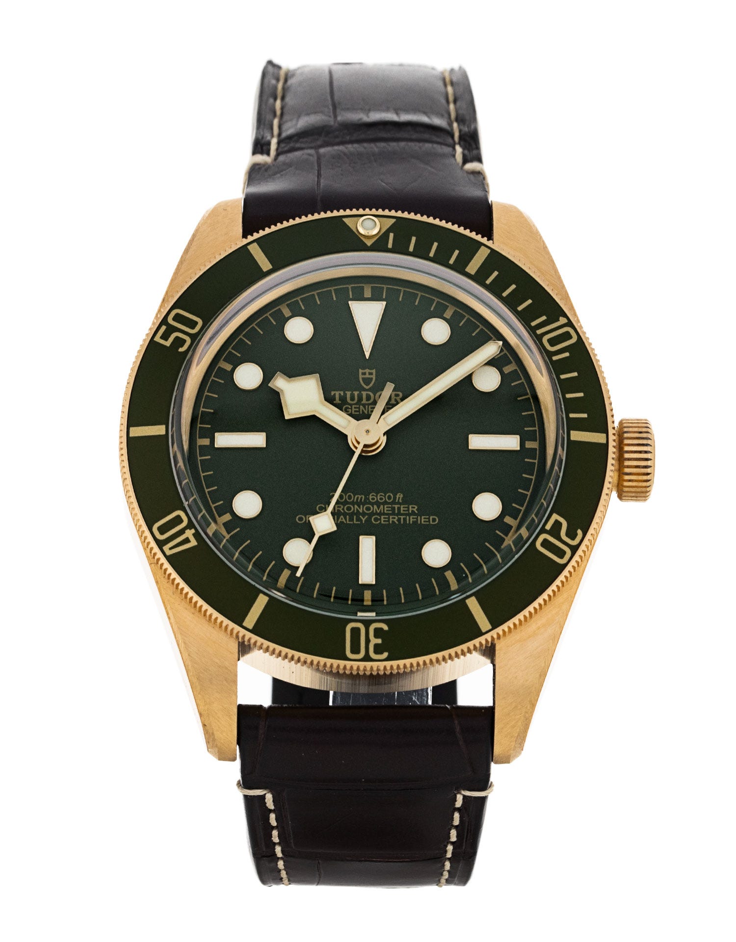 Tudor Black Bay 58 M79018V-0001 280255